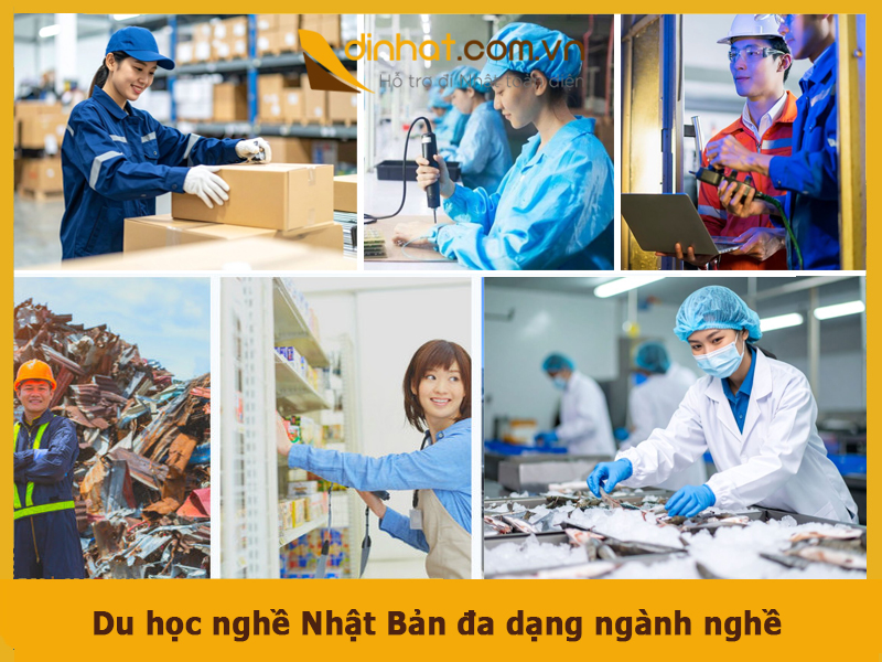 Du hoc nghe nhat ban da dang nganh nghe