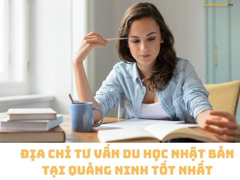 TOP 8 địa chỉ tư vấn du học Nhật Bản tại Quảng Ninh tốt nhất TOP 8 địa chỉ tư vấn du học Nhật Bản tại Quảng Ninh tốt nhất