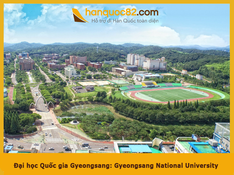 Gyeongsang national university