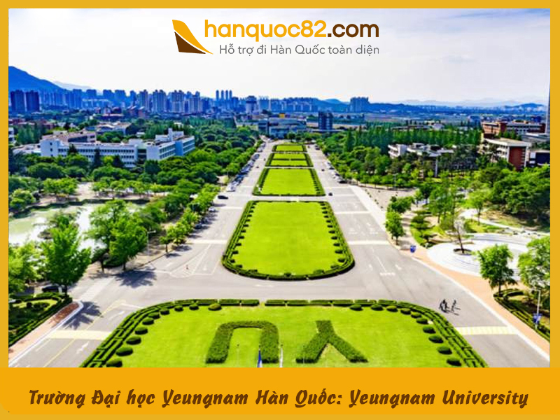 Yeungnam university