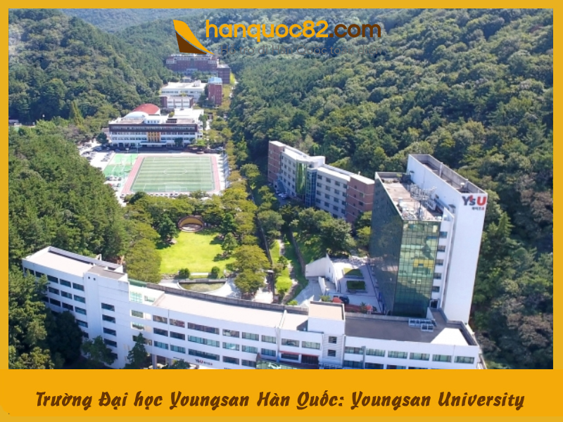 Youngsan university