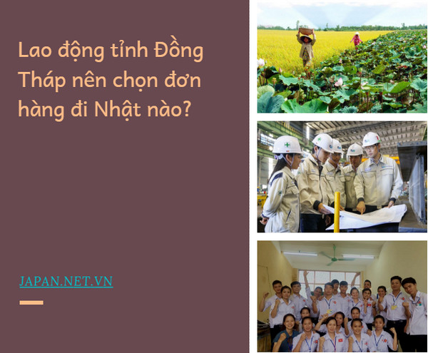 Top 10 Trung Tâm Du Học Nhật Bản Tại Đồng Tháp Sáp Nhập Tiền Giang – Cơ Hội Vàng Cho Sinh Viên Địa Phương