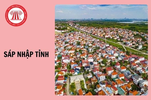 TOP 10 trung tâm du học Nhật Bản tại Khánh Hòa (sáp nhập Ninh Thuận – Khánh Hòa) - Cầu nối vững chắc cho hành trình du học