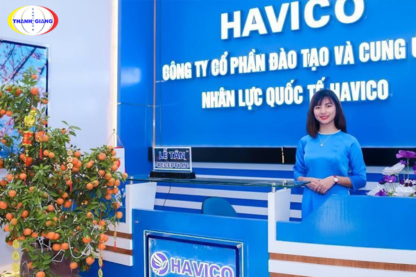 TOP 10 trung tâm du học Nhật Bản tại Sơn La - Chọn lọc hàng đầu cho ước mơ học tập tại xứ sở hoa anh đào