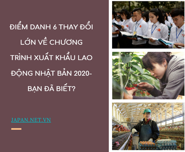 Top 10 trung tâm xuất khẩu lao động Nhật Bản tại An Giang (sáp nhập Kiên Giang  An Giang) – Cổng Đón Nhân Lực Uy Tín Và Hiệu Quả