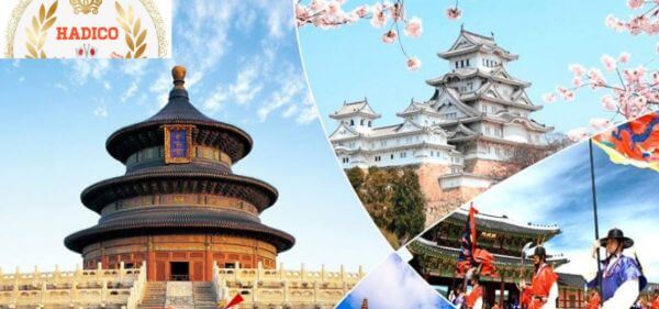 Top 10 trung tâm xuất khẩu lao động Nhật Bản tại Đồng Nai (sáp nhập Bình Phước – Đồng Nai) – Cơ Hội Vàng Cho Người Lao Động Việt Nam