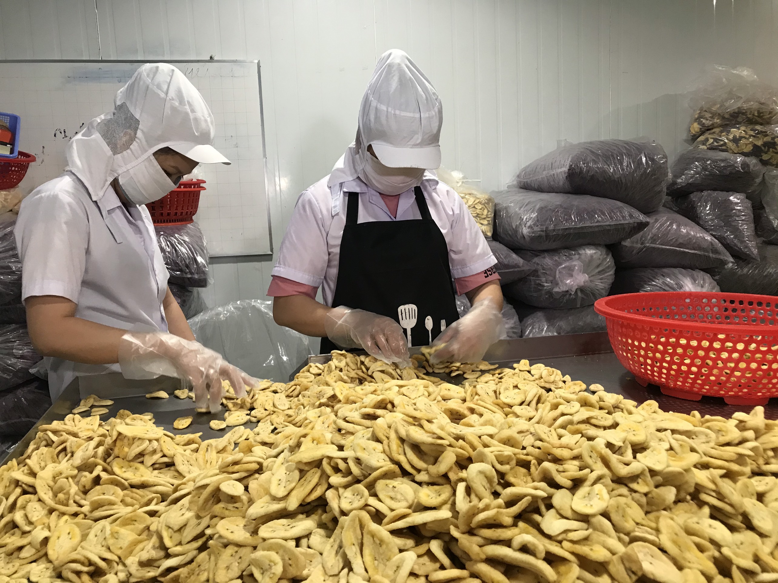 Top 10 trung tâm xuất khẩu lao động Nhật Bản tại Vĩnh Long – Cánh cổng mở ra nhiều cơ hội nghề nghiệp và tương lai