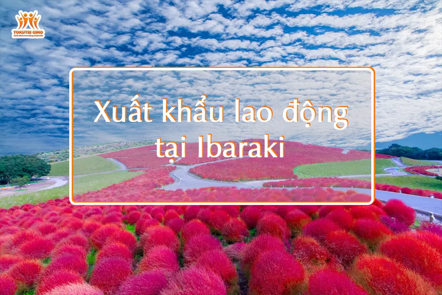 Du học Nhật Bản tại Ibaraki