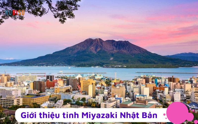 Du học Nhật Bản tại Saga