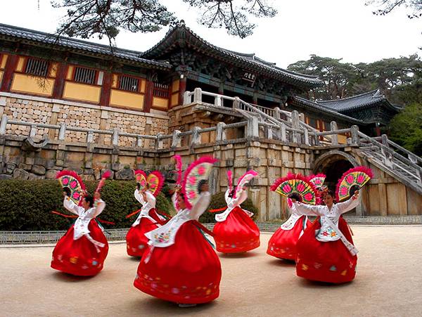 Dịch tiếng Hàn giá rẻ tại Hà Nội