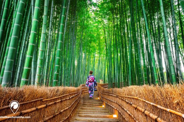 Khi nào Nhật Bản cho nhập cảnh trở lại? du học và xuất khẩu lao động bay