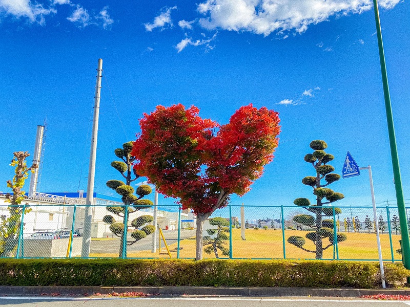 Khoảng lặng mùa thu ở thành phố Tomioka tỉnh Gunma