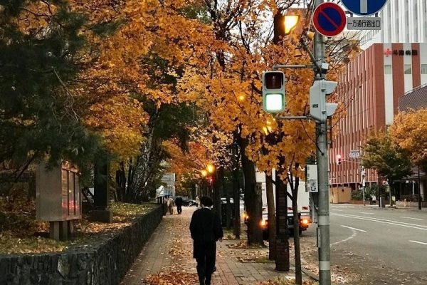 Thành phố Sapporo tỉnh Hokkaido thiên đường phương Bắc Nhật Bản