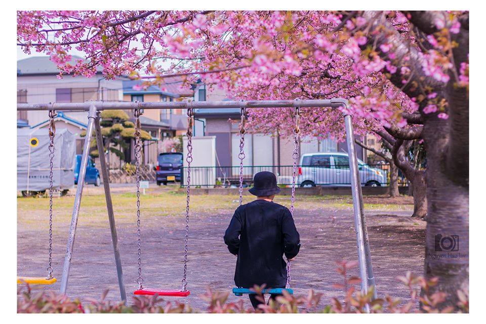 Nhật Bản nơi trái tim tôi thuộc về