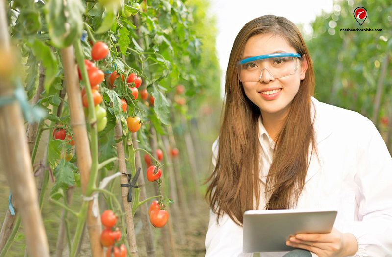 TOP 10 đơn hàng kỹ sư Nhật Bản tuyển dụng tốt nhất hiện nay