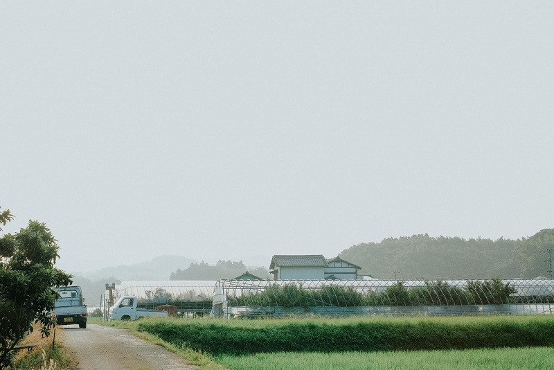 Top 5 trung tâm tiếng Hàn được yêu thích nhất tại Nam Định 