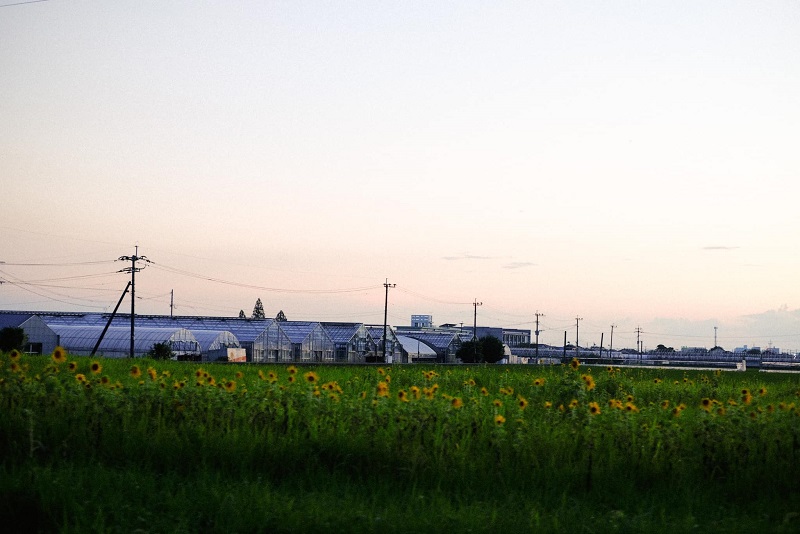 Top 5 trung tâm tiếng Hàn đa dạng và chất lượng tại Long An