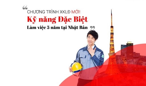 Kỹ năng đặc định, visa tokutei là gì? Điều kiện, chi phí, mức lương cần biết