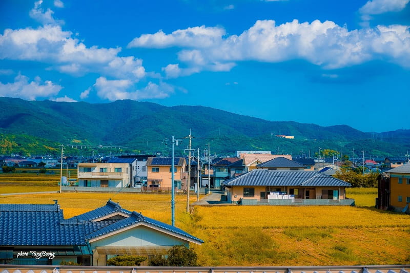 TOP 10 kinh nghiệm du lịch Hàn Quốc từ A-Z cho người mới đi lần đầu