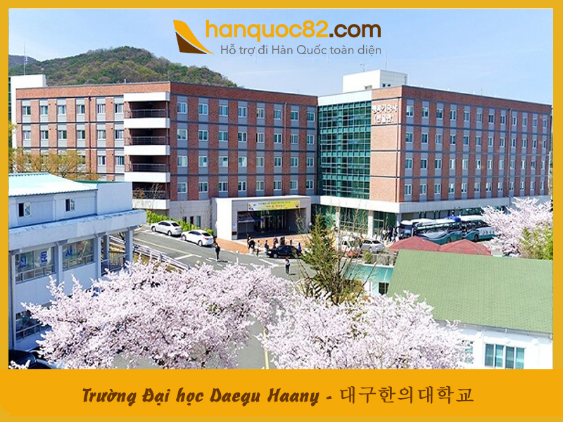Trường Đại học Daegu Haany – Daegu Haany University