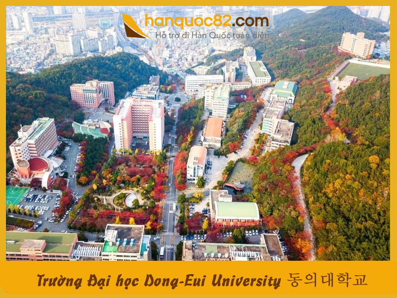 Trường Đại học Dong-Eui: Dong-Eui University