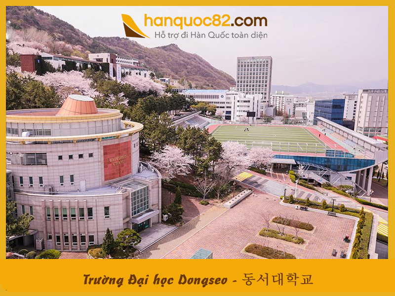 Trường Đại học Dongseo – Dongseo University (DSU)