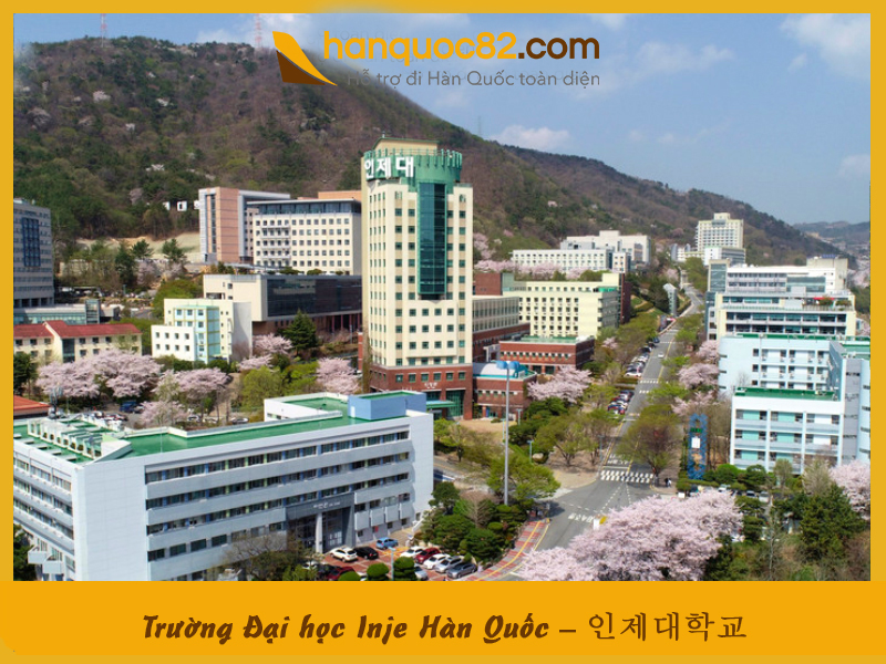 Trường Đại học Inje Hàn Quốc: Inje University