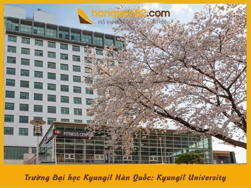 Trường Đại học Kyungil Hàn Quốc: Kyungil University