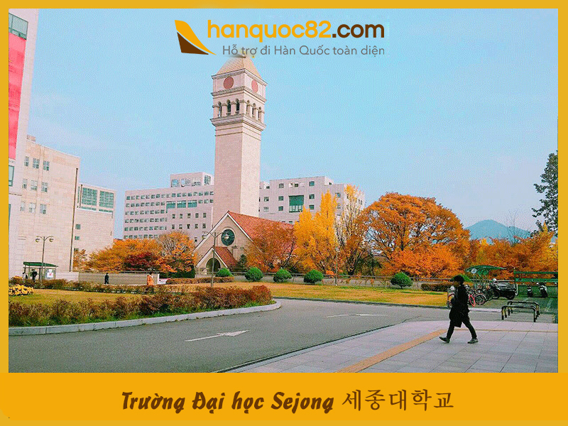 Trường Đại học Sejong: Sejong University