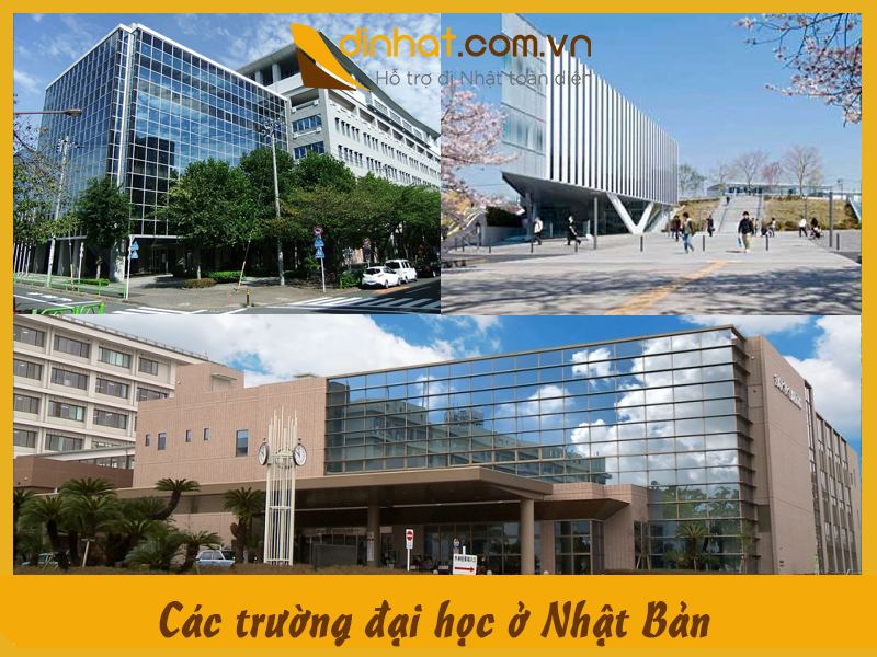Các trường đại học ở Nhật Bản: Hướng dẫn lựa chọn và thông tin cần biết Các trường đại học ở Nhật Bản: Hướng dẫn lựa chọn và thông tin cần biết