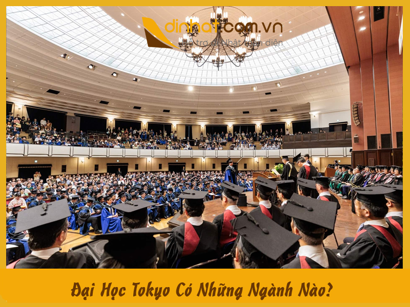 Đại Học Tokyo Có Những Ngành Nào Khám Phá Chi Tiết A-Z
