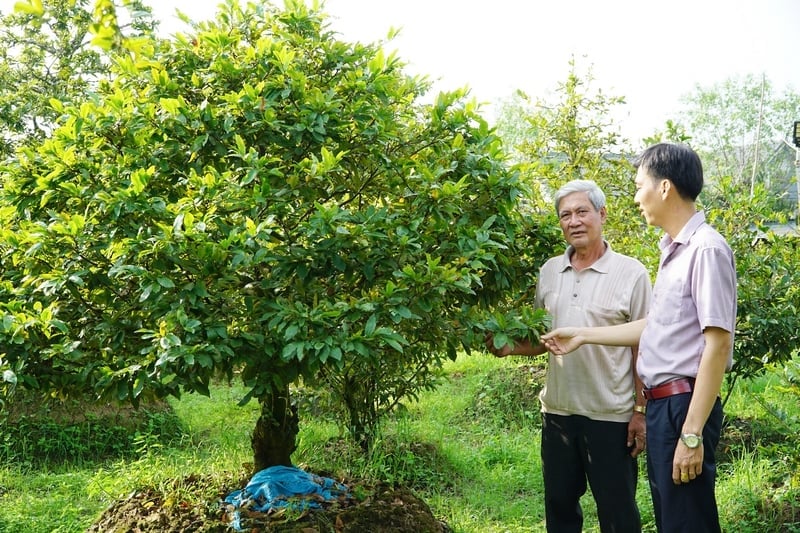 TOP 10 trung tâm du học Nhật Bản tại Vĩnh Long – Điểm đến tin cậy cho sinh viên miền Tây