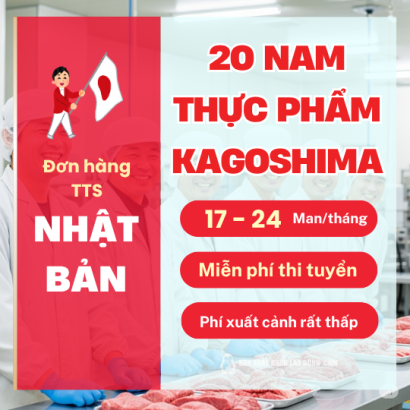 Top 10 trung tâm xuất khẩu lao động Nhật Bản tại Thanh Hóa – Cầu Nối Vươn Xa Đến Đất Nước Mặt Trời Mọc