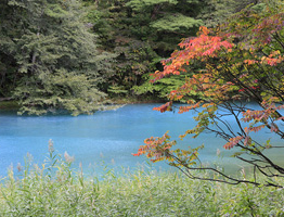 Top 4 trung tâm tư vấn du học Hàn Quốc tại Quảng Nam uy tín