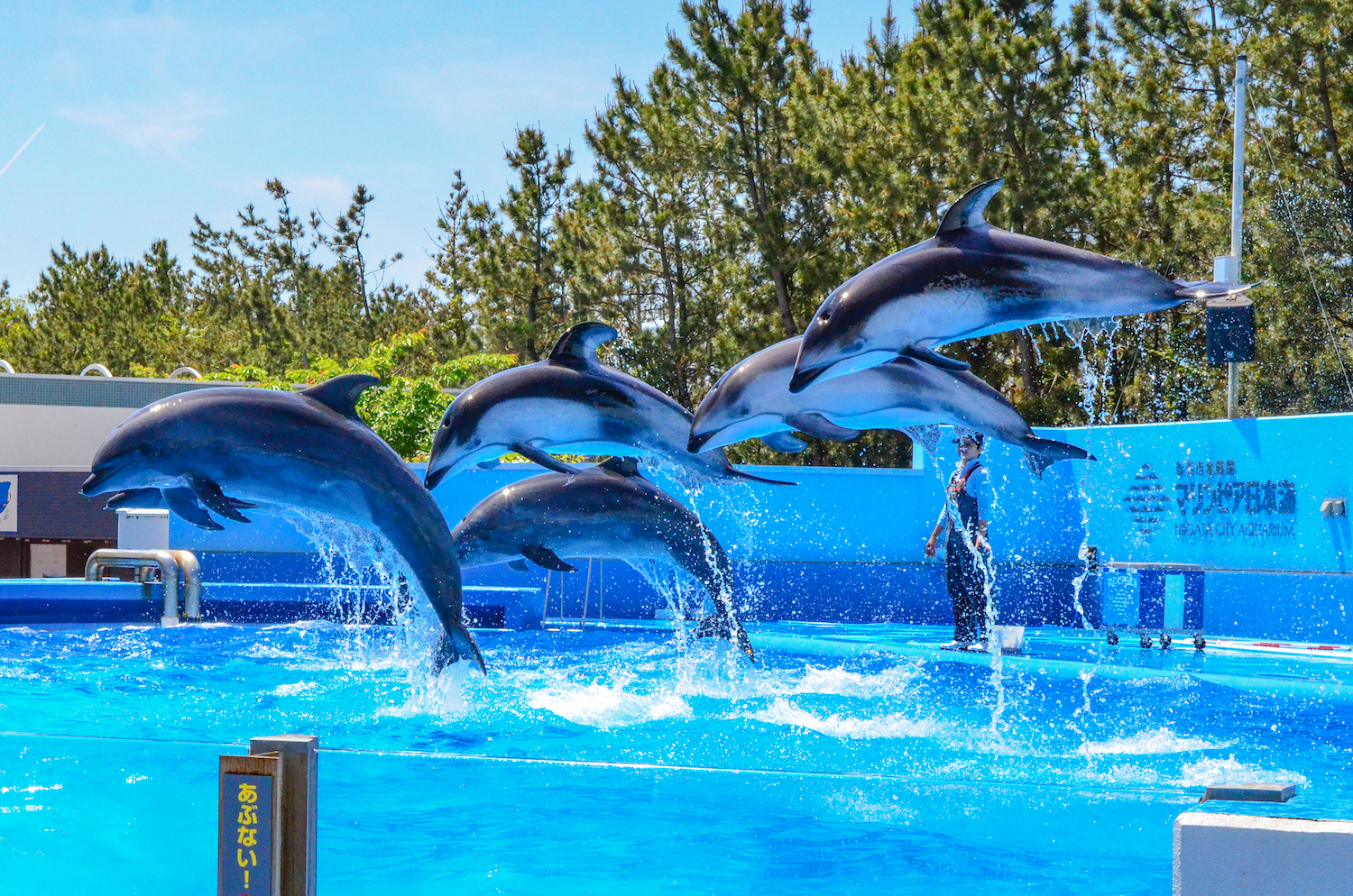 Trung tâm tư vấn du học Hàn Quốc tại Điện Biên uy tín