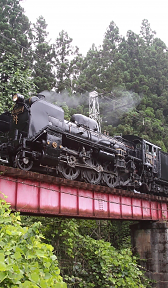 Top 5 trung tâm tư vấn du học Hàn Quốc tại Đắk Nông uy tín