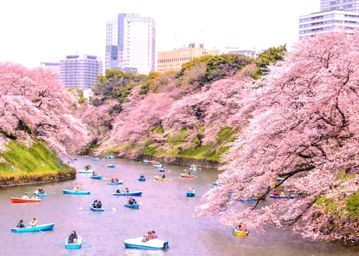 Du học Nhật Bản tại Yamagata